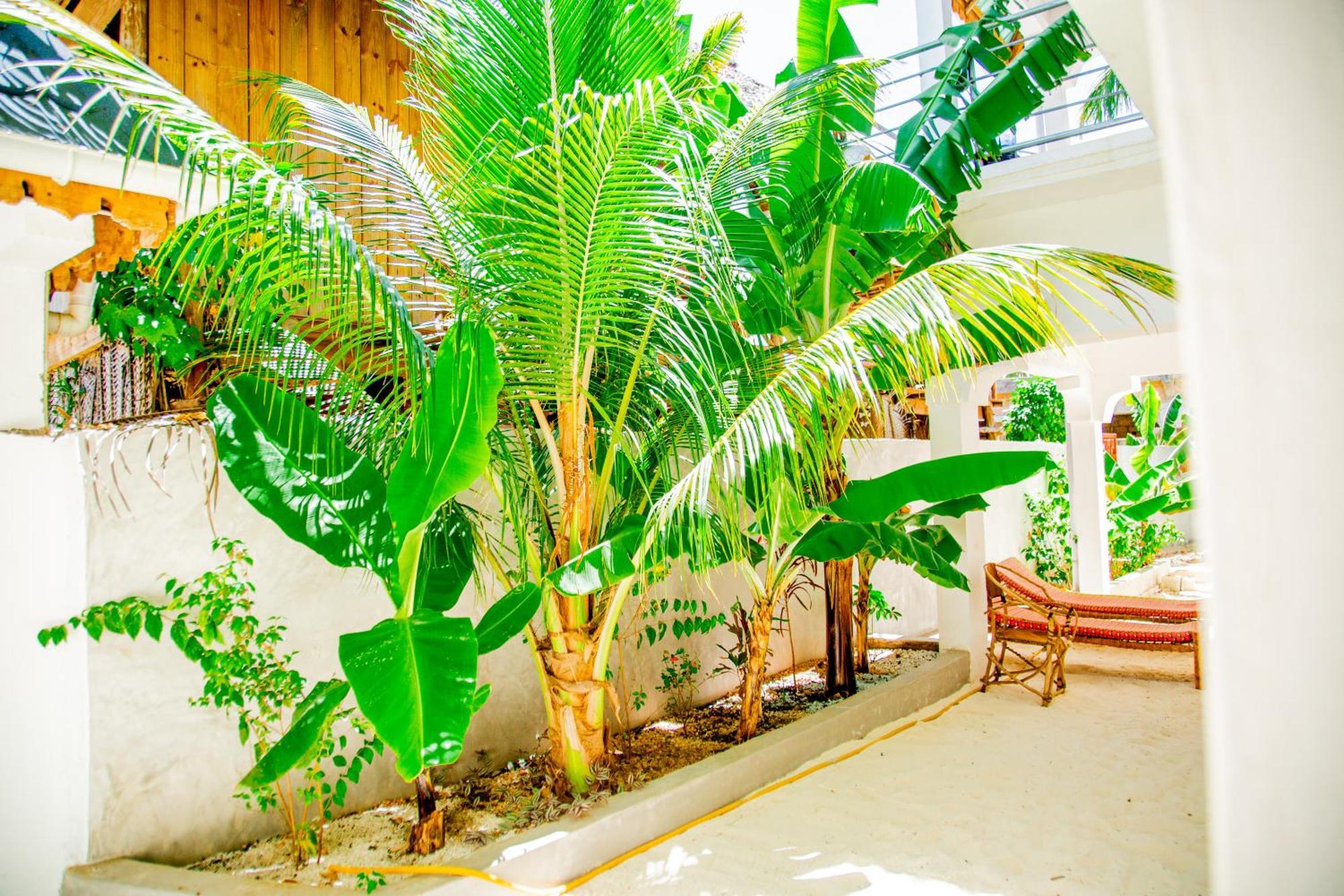 Pamoja Beach Stays Hotel In Jambiani Jambiani  Εξωτερικό φωτογραφία